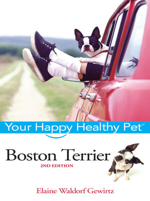 cover image of Boston Terrier